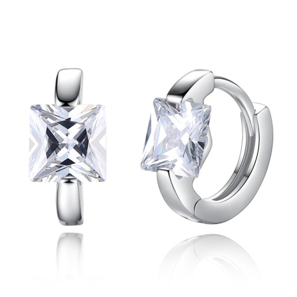 **VITTORIA* Silver x Zircon Simple Fashion Earrings - Picture 1 of 2